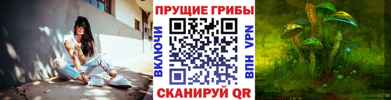 Галлюциногенные грибы Psilocybe  магазин продажи наркотиков  Истра 
