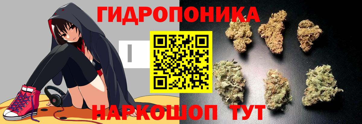 Истра  Конопля тримм  Вход с VPN  Каннабис VHQ 