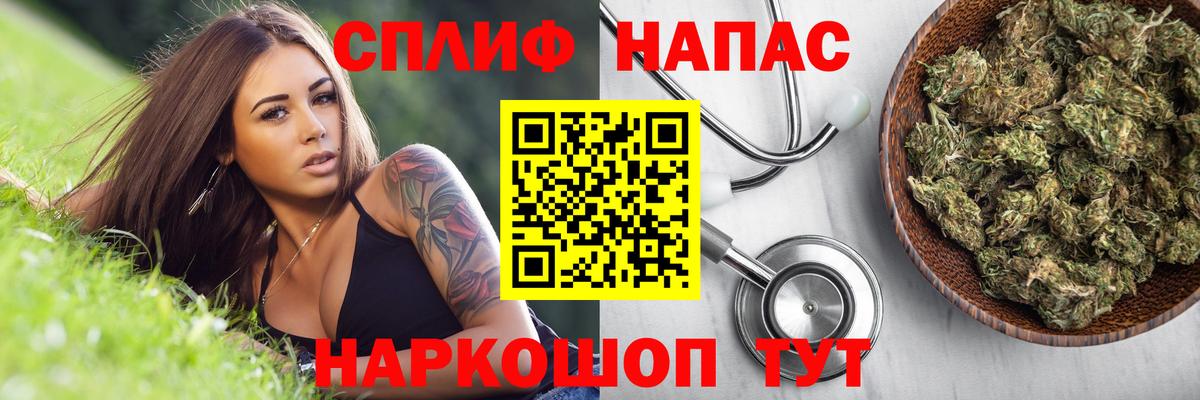 Каннабис индика Истра